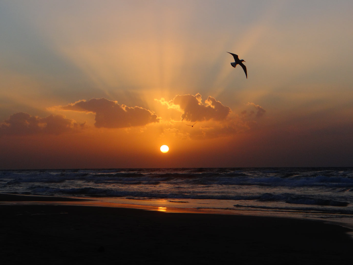 Sunset in Gaza