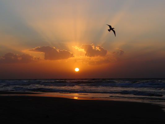 Sunset in Gaza